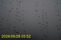 Img20260628_055252.jpg