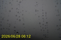 Img20260628_061252.jpg