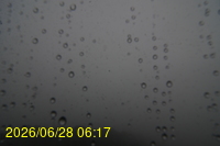 Img20260628_061752.jpg