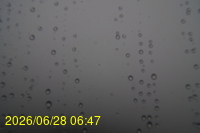 Img20260628_064752.jpg