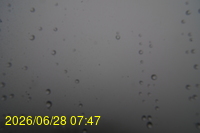 Img20260628_074752.jpg