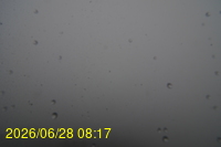 Img20260628_081752.jpg