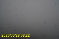 Img20260628_082252.jpg