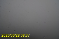 Img20260628_083752.jpg