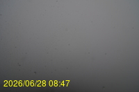 Img20260628_084752.jpg