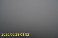 Img20260628_085252.jpg