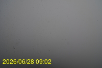 Img20260628_090253.jpg