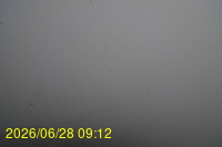 Img20260628_091253.jpg