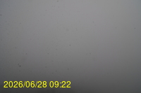 Img20260628_092253.jpg