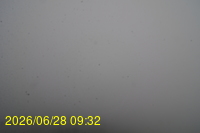 Img20260628_093253.jpg