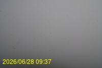 Img20260628_093753.jpg
