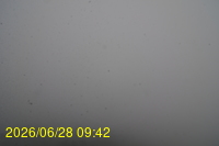 Img20260628_094253.jpg