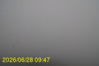 Img20260628_094753.jpg