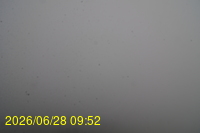Img20260628_095253.jpg