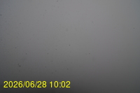 Img20260628_100253.jpg