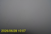 Img20260628_100753.jpg