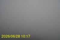 Img20260628_101753.jpg