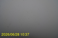 Img20260628_103753.jpg