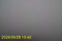 Img20260628_104253.jpg