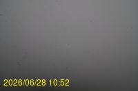 Img20260628_105253.jpg