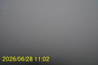 Img20260628_110253.jpg