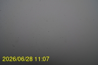 Img20260628_110753.jpg