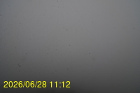 Img20260628_111253.jpg