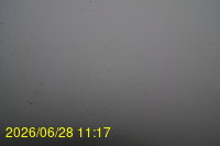 Img20260628_111753.jpg