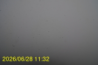 Img20260628_113253.jpg