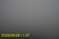 Img20260628_113753.jpg