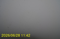Img20260628_114253.jpg