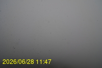 Img20260628_114753.jpg