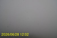 Img20260628_120253.jpg