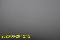 Img20260628_121253.jpg
