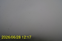 Img20260628_121753.jpg