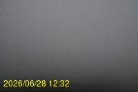 Img20260628_123253.jpg