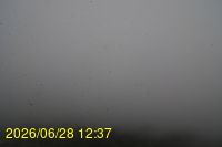 Img20260628_123753.jpg