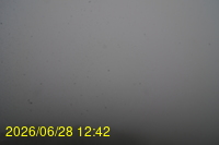Img20260628_124253.jpg