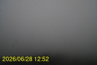 Img20260628_125253.jpg