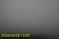 Img20260628_130253.jpg