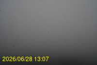 Img20260628_130753.jpg
