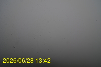Img20260628_134253.jpg