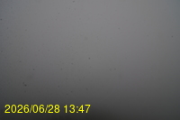 Img20260628_134753.jpg