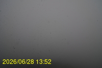 Img20260628_135253.jpg