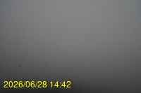 Img20260628_144254.jpg