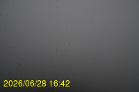 Img20260628_164254.jpg