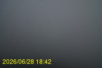Img20260628_184254.jpg