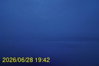 Img20260628_194255.jpg