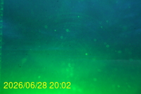 Img20260628_200255.jpg