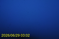 Img20260629_030256.jpg